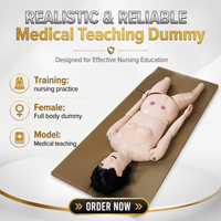 Maniquí Médico de Enfermería Básico Labpilot, Modelo Anatómico para Prácticas de Enfermería, Entrenamiento Hospitalario