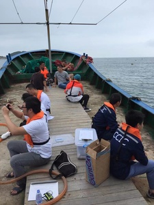 Dịch Vụ Chuỗi Cung Ứng Toàn Cầu CCIC Tại Trung Quốc - Product Image 3