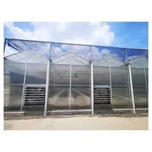 Greenhouse Polycarbonate With Grow Tray Hydroponics Farming Greenhouse