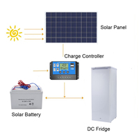 Nouvel arrivage d'électroménager 178 litres DC/AC 12/24/110/220V réfrigérateur solaire hors réseau congélateur vertical avec panneau solaire