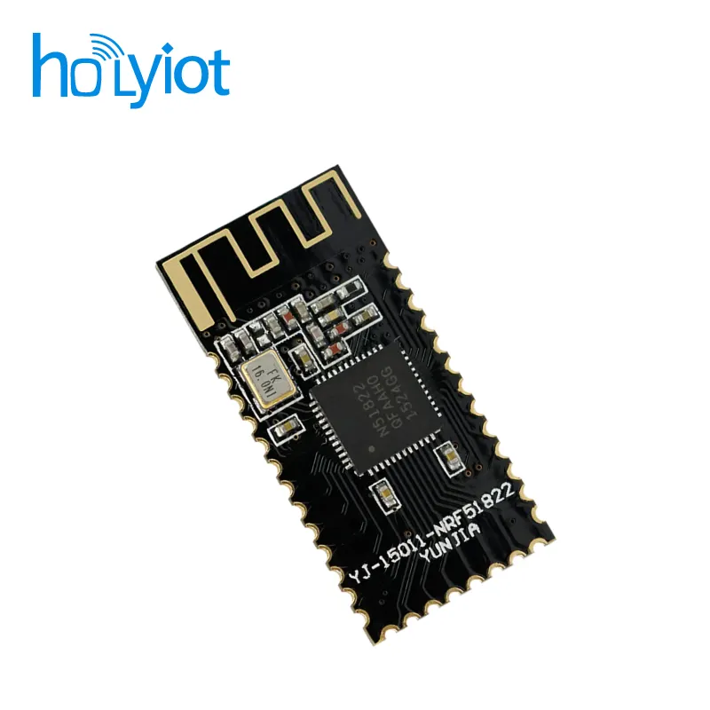 Holyiot nRF51822BleモジュールIotソリューションBle5.0モジュールBluetooth送信機および受信機モジュール