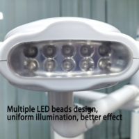 Lampe de Blanchiment Dentaire 40W 60W 80W Accélérateur de Blanchiment des Dents Grande Puissance Lumière Froide LED Efficace Machine de Blanchiment Dentaire