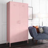 Günstige moderne Design 2 Tür Metalls chrank Schrank Kommode Schrank Kleidung Lagerung Kleider schrank