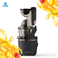Elektrische multifunctionele stille motor slowjuicer voor het hele fruit, koudpersen, met roestvrijstalen zeef voor huishoudelijk gebruik