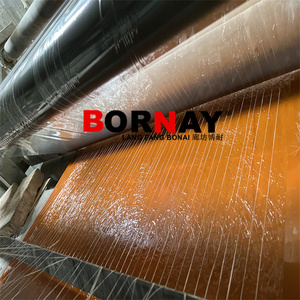 Langfang Bonai — paillette de râpe Anti - UV en plastique renforcé de plastique, ne glisse pas, résistant à la Corrosion, produit de fabrication directe - Product Image 6