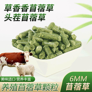 Pellets de Alfalfa de 6 mm de Diámetro, Alimento con Alto Contenido de Proteínas para Ganado Vacuno, Ovino y Avícola - Product Image 5