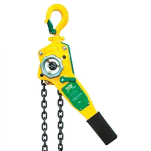 รอกโซ่ไฟฟ้าขนาดกะทัดรัดสำหรับการยกในโรงงานและอุตสาหกรรม - Product Image 1