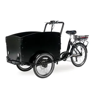 अच्छी कीमत 3 पहिया बिजली कार्गो बाइक बिक्री के लिए 250W मोटर ई बाइक tricycle/इलेक्ट्रिक ई कार्गो बाइक यूरोपीय संघ गोदाम