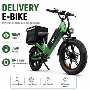 Bicicleta Eléctrica de Carga con Llantas Gruesas de 20 Pulgadas, 55AH de Largo Alcance para el Mercado Latinoamericano, Servicio de Entrega, Precio de Fábrica al por Mayor - Product Image 1