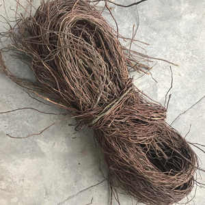 ตู้ปลาเชิงนิเวศ ตู้ปลาระแนง จัดสวนตู้ปลา <span class=keywords><strong>ราก</strong></span>ดราก้อนวิสเกอร์ กิ่งหวาย ต้นไทร หนวด<span class=keywords><strong>ไทร</strong></span> - Product Image 3