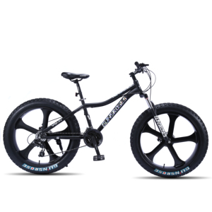 Vélo de montagne pour adultes de 26 pouces avec suspension avant, frein à disque, vitesses, fourche en acier pour le cyclisme hors route - Product Image 1