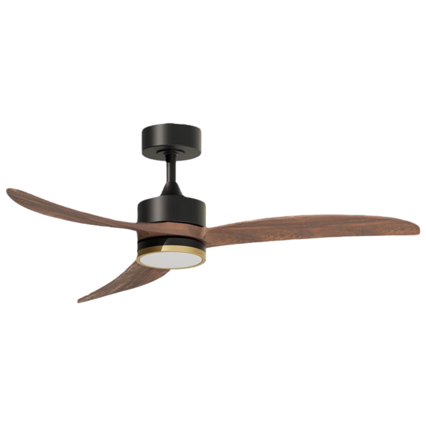 วอลนัทดำ