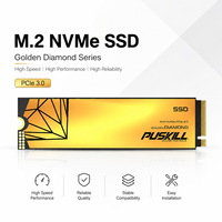 PUSKILL M.2 SSD 256GB 512GB 1TB NVMe PCIe 3.0 X4 Internal Solid State Drive 3D TLC Penyimpanan Kecepatan Tinggi Desktop Laptop