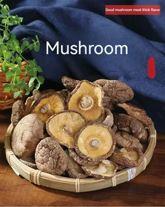 Großhandel hochwertige natürliche luftgetrocknete Shiitake Pilze organische getrocknete Pilze