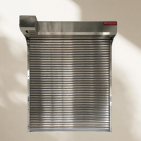 Porte à enroulement coupe-feu en acier sur mesure avec dimensions et motifs personnalisés