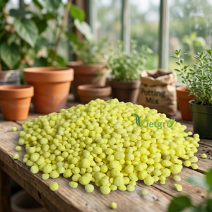 ซัลเฟอร์เคลือบ kalium 57 (SCK 57) -ปุ๋ย vietgro - Product Image 3