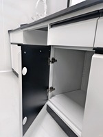 Table de laboratoire en métal moderne et durable avec évier, armoire à 4 tiroirs, revêtement en poudre époxy, acier inoxydable, poste de travail pour laboratoire de chimie