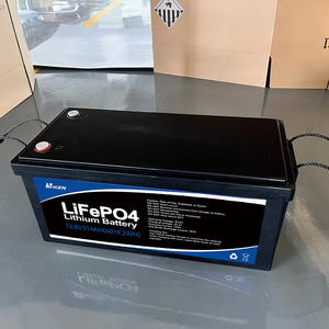 충전식 딥 사이클 리튬 배터리 12.8v 100ah 200ah 300ah 중국 제조 업체 - Product Image 1