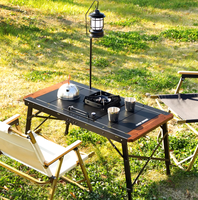 Table de camping et de pique-nique pliable légère et moderne en aluminium, design IGT
