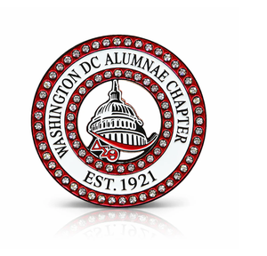 Insignia Personalizable <span class=keywords><strong>de</strong></span> la Hermandad Delta Sigma Theta, Insignia <span class=keywords><strong>de</strong></span> Metal Esmaltado para Antiguos Alumnos <span class=keywords><strong>de</strong></span> la Universidad Tampa Metropolitan - Product Image 3