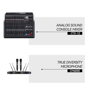 CHORDIO Altoparlanti Audio Professionali, Subwoofer, Mixer e Microfono, Alta Potenza, Versatili per Eventi, Palchi e Chiese - Product Image 3