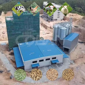 Sistema de Granulación de Alimentos para Ganado y Cabras Personalizable, Línea Completa de Producción de Pienso en Pellets con Estructura de Acero y Silo de Materia Prima - Product Image 6