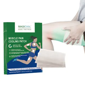 Meilleur soulagement des douleurs musculaires Patch flexible pour la douleur Douleur musculaire dans le bras Gonflement localisé Action rapide adn OEM longue durée