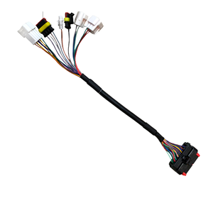 Araç Elektrik Sistemi için Özel Otomotiv Ana Kablo Demeti Motosiklet Araba Motoru Kablo Montajı OEM ODM Üreticisi - Product Image 5