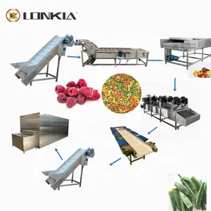 LONKIA – ligne de transformation de fruits et légumes, Machine à Cubes de carottes congelées