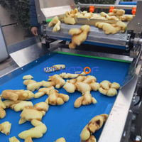 Volautomatische Gemberpoedermachine 300 Kg/u Gemberverwerkingslijn Met Poederverpakkingsmachine