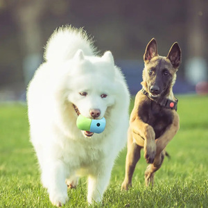 <strong>Silicone</strong> Indestructible Pet Food Dispenser Tumbler Leaky Food <strong>Dog</strong> <strong>Toys</strong> <strong>Dog</strong> Rolling Treat Ball Leakage Feeding Slow Food Chew <strong>Toy</strong> - Product Image 6