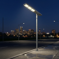 Lampadaire solaire LED WERISE pour éclairage extérieur, IP65, charge MPPT, contrôle AI, lampadaires solaires LED pour autoroute et route