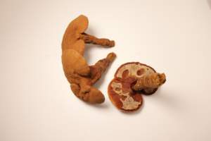 Дикий Рейши органический культивируемый цельный сушеный Ганодерма линчжи красный Ганодерма <span class=keywords><strong>Lucidum</strong></span> - Product Image 6