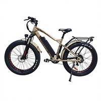 Vélo de montagne électrique à pneus larges pour adultes, moteur 750W 48V, freins à disque hydrauliques, prix direct usine