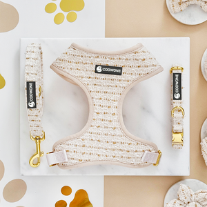 Produsen Set kekang anjing kerah hewan peliharaan dan Set timah perlengkapan hewan peliharaan tali wol aksesoris Jalan - Product Image 2