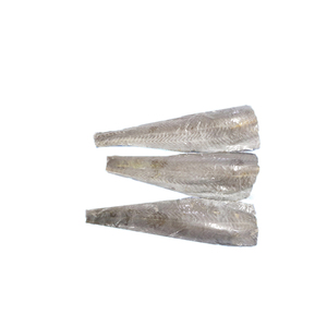 Filets <span class=keywords><strong>de</strong></span> <span class=keywords><strong>Hoki</strong></span> Frais Congelés <span class=keywords><strong>de</strong></span> Haute Qualité (Macruronus Magellanicus) Du Décoration Intérieure aux Banquets Répond à Tous les Besoins - Product Image 4