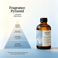 Diffuseur de parfum commercial à base d'huiles essentielles, senteur riche multicouche, notes florales fruitées fraîches, boisées épicées et musquées, pour chemises blanches