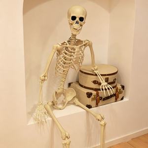 Squelette d'Halloween <span class=keywords><strong>de</strong></span> simulation humaine, accessoires <span class=keywords><strong>de</strong></span> décoration pour fête d'<span class=keywords><strong>horreur</strong></span>, squelette d'<span class=keywords><strong>horreur</strong></span>, enseignement <span class=keywords><strong>de</strong></span> <span class=keywords><strong>l</strong></span>'<span class=keywords><strong>anatomie</strong></span> humaine - Product Image 6