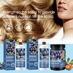 Champú y Acondicionador con Vitamina E y Arándanos Naturales OEM, Champú Reparador para el Cabello para Uso en Salón - Product Image 6