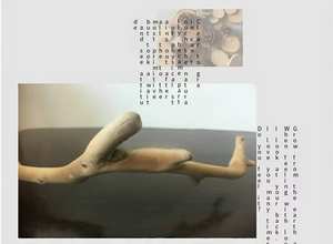 Y-Vormige Bifurcatie Natuurlijk Drijfhout Set Voor <span class=keywords><strong>Aquarium</strong></span> Unieke Diy Houten Stokken & Houtsnippers Gebogen Klein <span class=keywords><strong>Aquarium</strong></span> Decor - Product Image 3