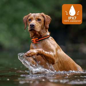 <span class=keywords><strong>Collar</strong></span> de Adiestramiento para Perros con Control Remoto Recargable, <span class=keywords><strong>Collar</strong></span> de Adiestramiento para Perros con Control Remoto Eléctrico - Product Image 5