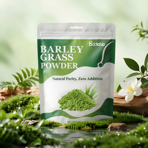 Poudre <span class=keywords><strong>d</strong></span>'herbe <span class=keywords><strong>d</strong></span>'<span class=keywords><strong>orge</strong></span> naturelle instantanée, riche en vitamines, sans <span class=keywords><strong>sucre</strong></span>, pour usage quotidien – Fournisseur <span class=keywords><strong>d</strong></span>'usine OEM - Product Image 3
