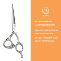 Ciseaux de coiffure professionnels Titan 6 pouces en titane, lame droite en acier inoxydable avec acier 440c tranchant