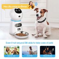 Vente en gros 2023 Robot pour animaux de compagnie, mangeoire automatique pour animaux de compagnie