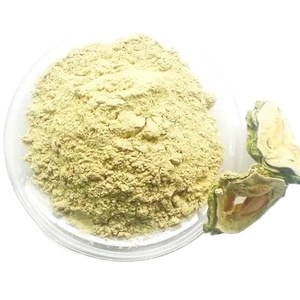 ผงแตงโมขมสำหรับหนุ่มสาว - Product Image 1