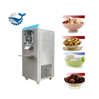 Machine à glace dure professionnelle en acier inoxydable à vitesse réglable 50L/H, sorbetière avec fonction lait et eau, facile à utiliser, congélateur