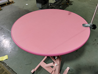 FT-838 Aeolus Table de toilettage de levage d'air pour animaux de compagnie Hauteur réglable Fourniture d'usine de luxe Assurance qualité Table de toilettage pour chiens