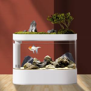 데스크탑 스마트 자동 먹이 공급 및 LED 조명 어항 - Product Image 5