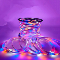 Bande lumineuse LED intelligente 100ft 30M RGB 5050 humeur magique changement de couleur musique synchronisation ambiante décoration maison chambre dent bleue
