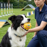 Jouet à mâcher couineur pour petit chien, en latex coloré haute visibilité, pour l'entraînement d'agilité et les jeux intérieurs/extérieurs